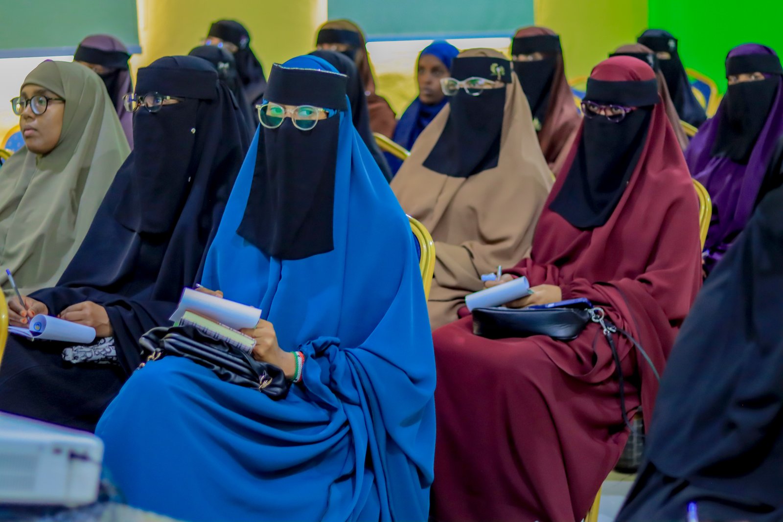 Sawirada Dawrada : Hababka Barbaarinta iyo Xanaanada Caruurta.